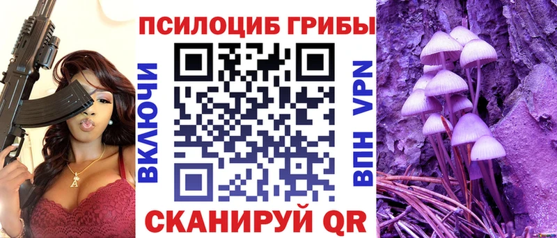 Галлюциногенные грибы Psilocybe  Удомля 