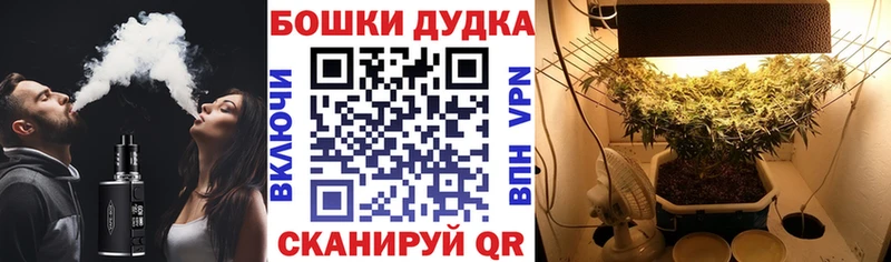 Шишки марихуана планчик где продают Удомля